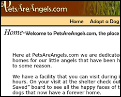 Pets Are Angels dot com